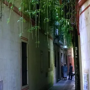  Appartement Calle 9